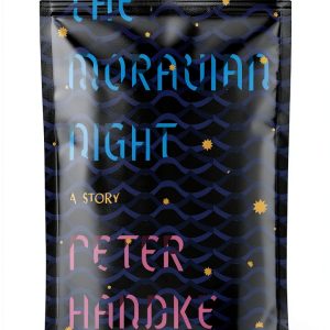 Farrar Straus Giroux Biographical Literary Fiction English-0