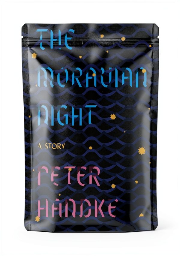 Farrar Straus Giroux Biographical Literary Fiction English-0