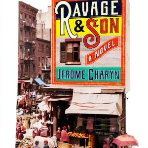Bellevue Literary Press Biographical Fiction Kindle Book-0