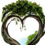 Seanelle Liberty Trilogy Book 3 Historical Thriller Kindle-0