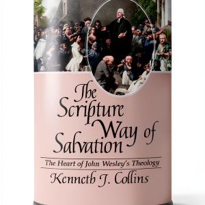 Abingdon Press Methodist Christianity Kindle Book-0