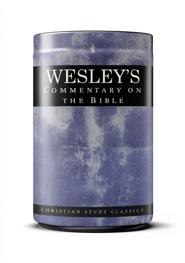 Methodist Christianity Commentary Kindle by Amazon 5819‑Page Typeset-0