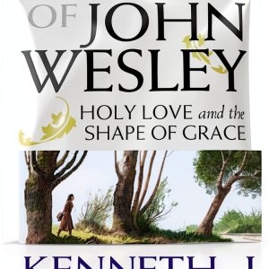 Methodist Christianity Study Guide Kindle Edition by Abingdon Press-0