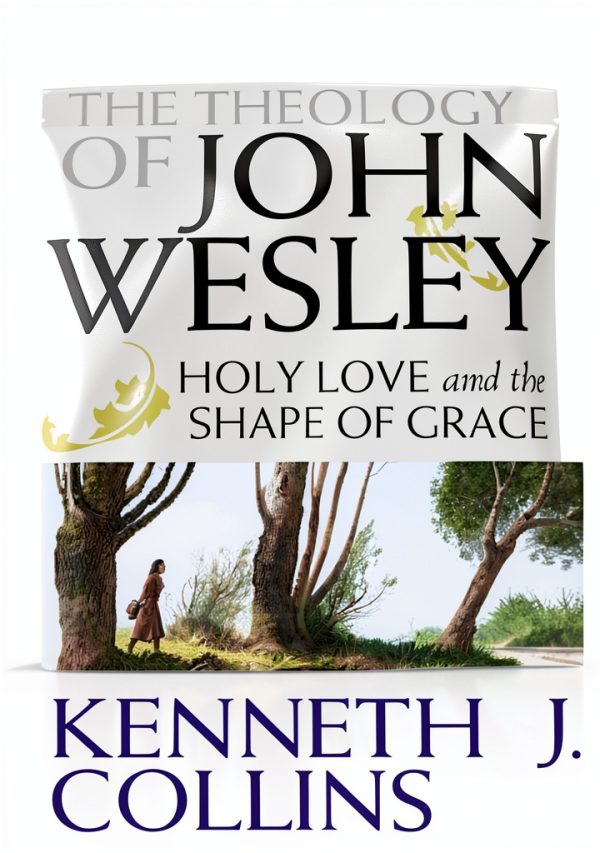 Methodist Christianity Study Guide Kindle Edition by Abingdon Press-0