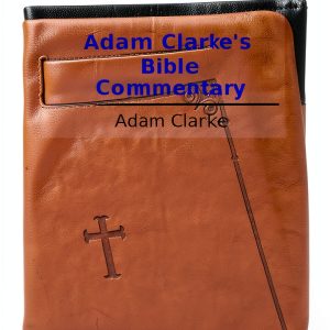 Methodist Christianity Kindle Book Comprehensive Commentary-0